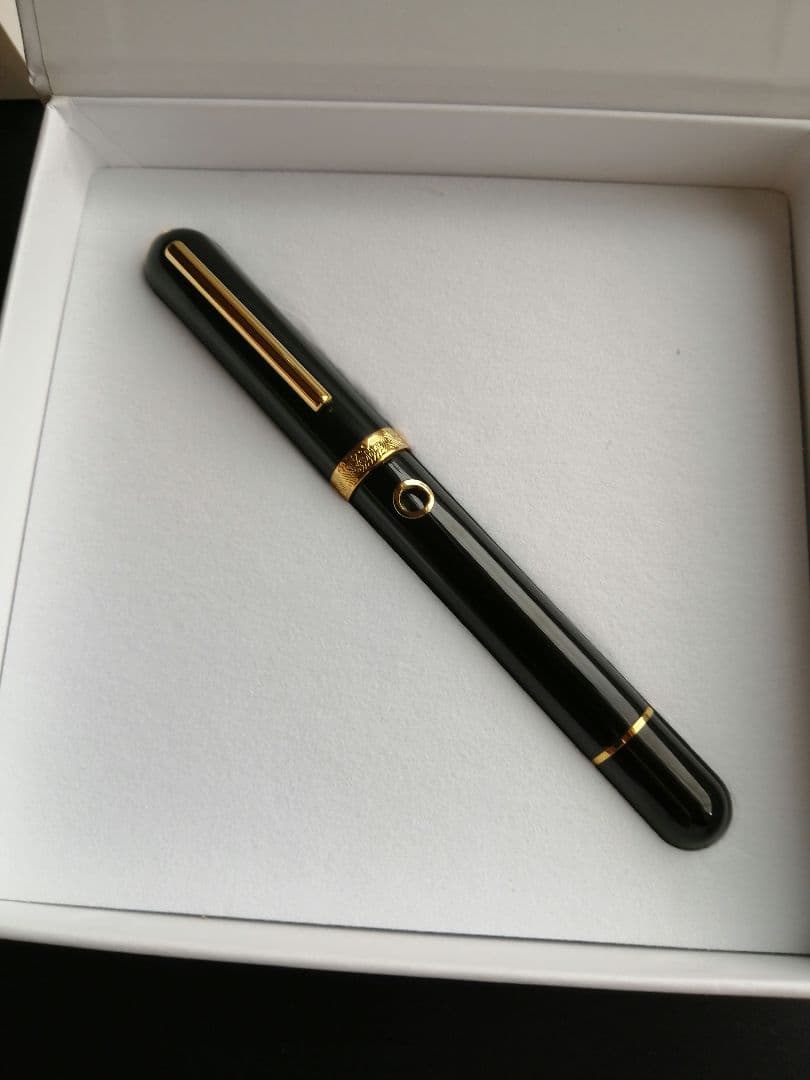 ナーワル（ナーヴァル）ノーティラス セファロポッド 万年筆　Fサイズ