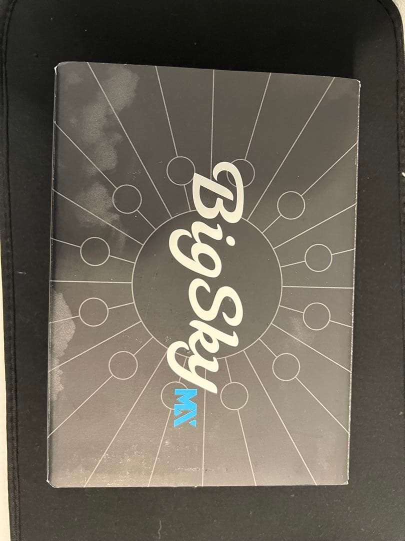 Strymon BigSky MX ギターエフェクター　美品　1/5まで値下げ