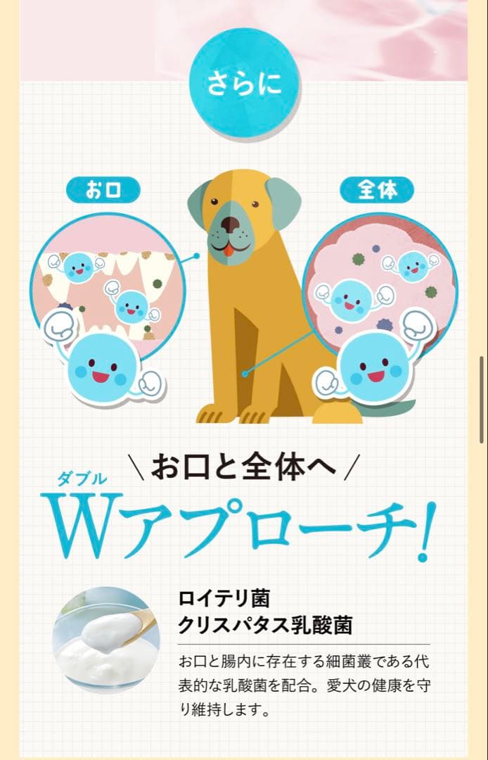 Dr.Dental Wan 歯磨きジェル ビーフ味 新品未使用　２本セット