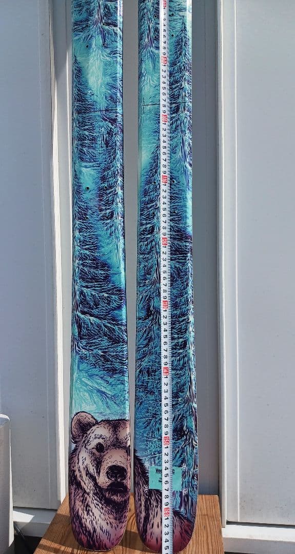 voile Vector BC スキー 170 cm　板のみ　うろこ板