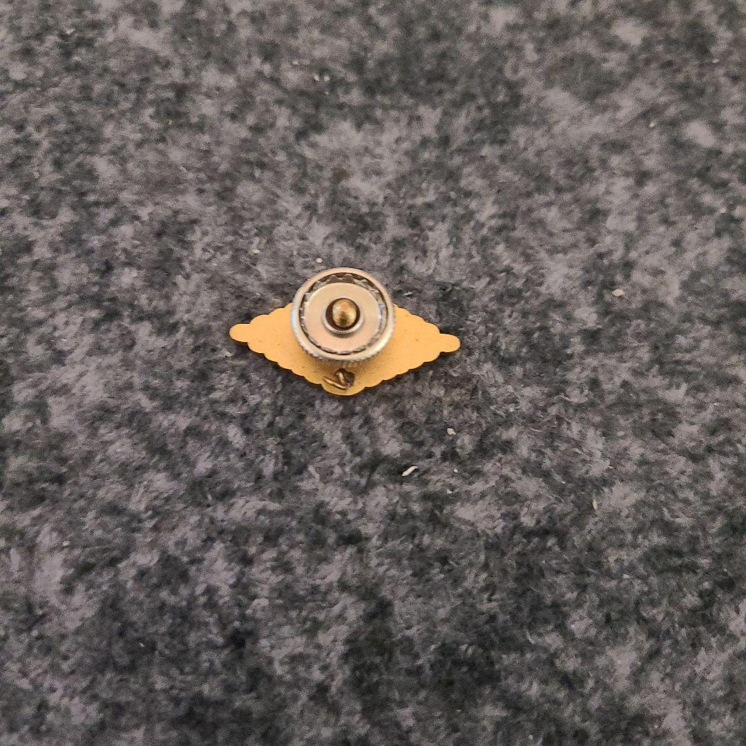 右翼団体 政治結社 街宣車 バッジ