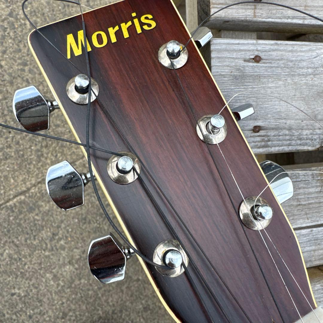 Morris モーリス W-25 アコースティックギター