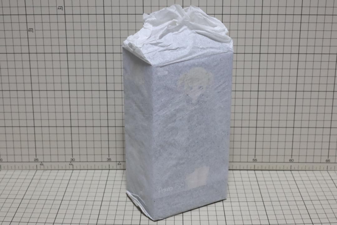 未開封 figma 女性body（ユウキ） with 黒コルセットワンピ