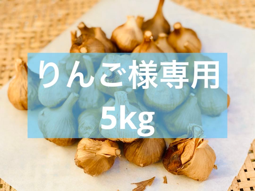 りんご　5kg