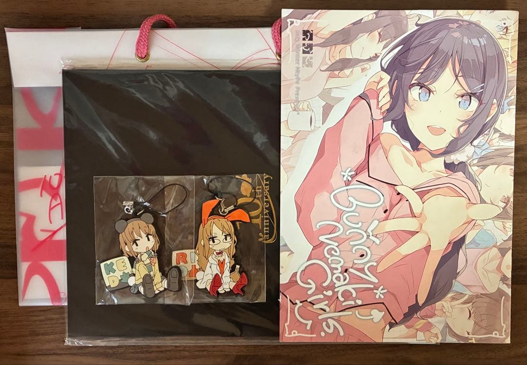 コミケ　青ブタ　10周年　溝口ケージ　イラスト本　セット