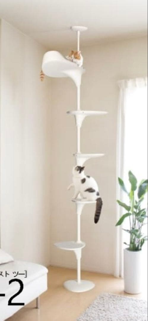 OPPO CatForest-2 キャットフォレスト2 ホワイト