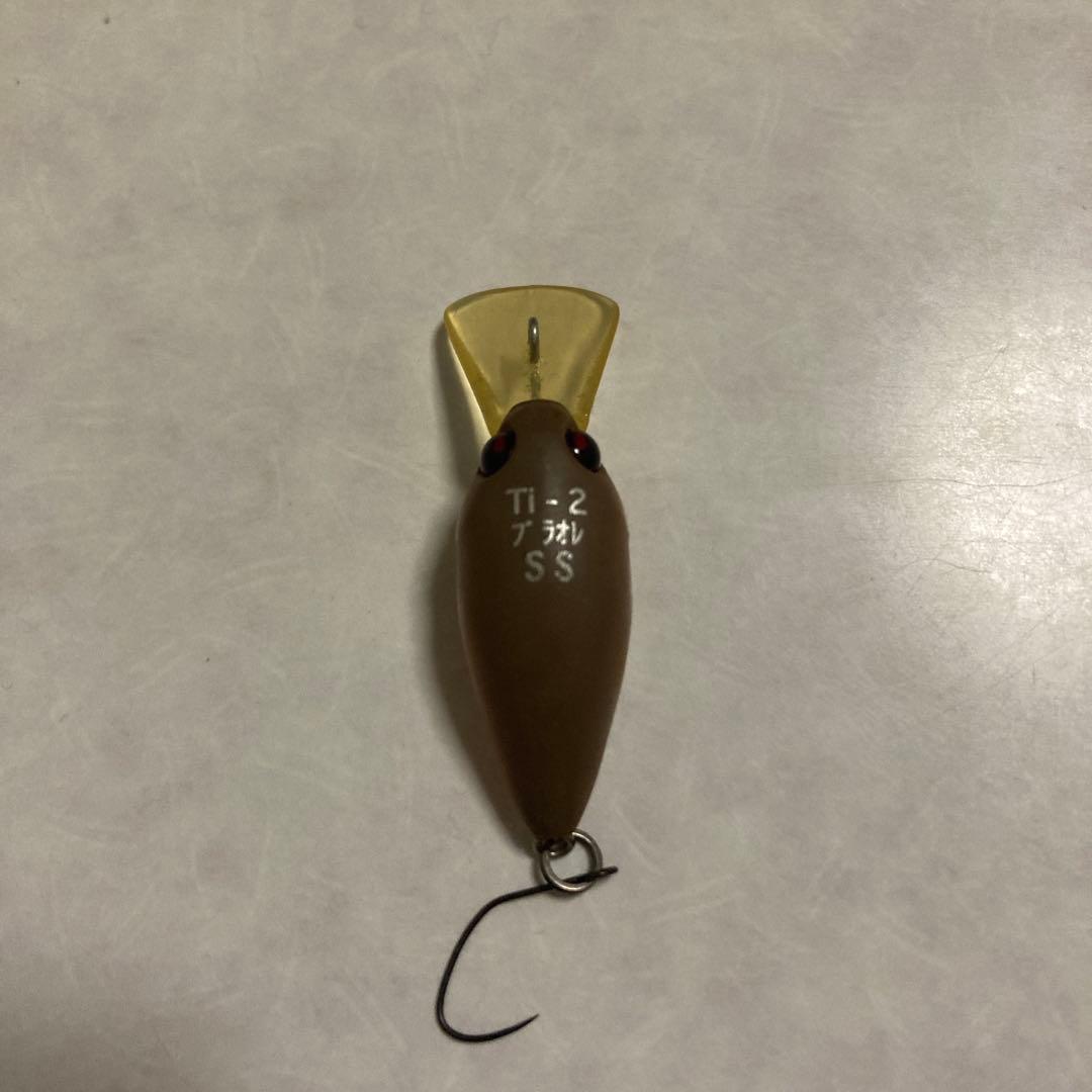 ジサクラ 2個、モカ1個。　合計３個。