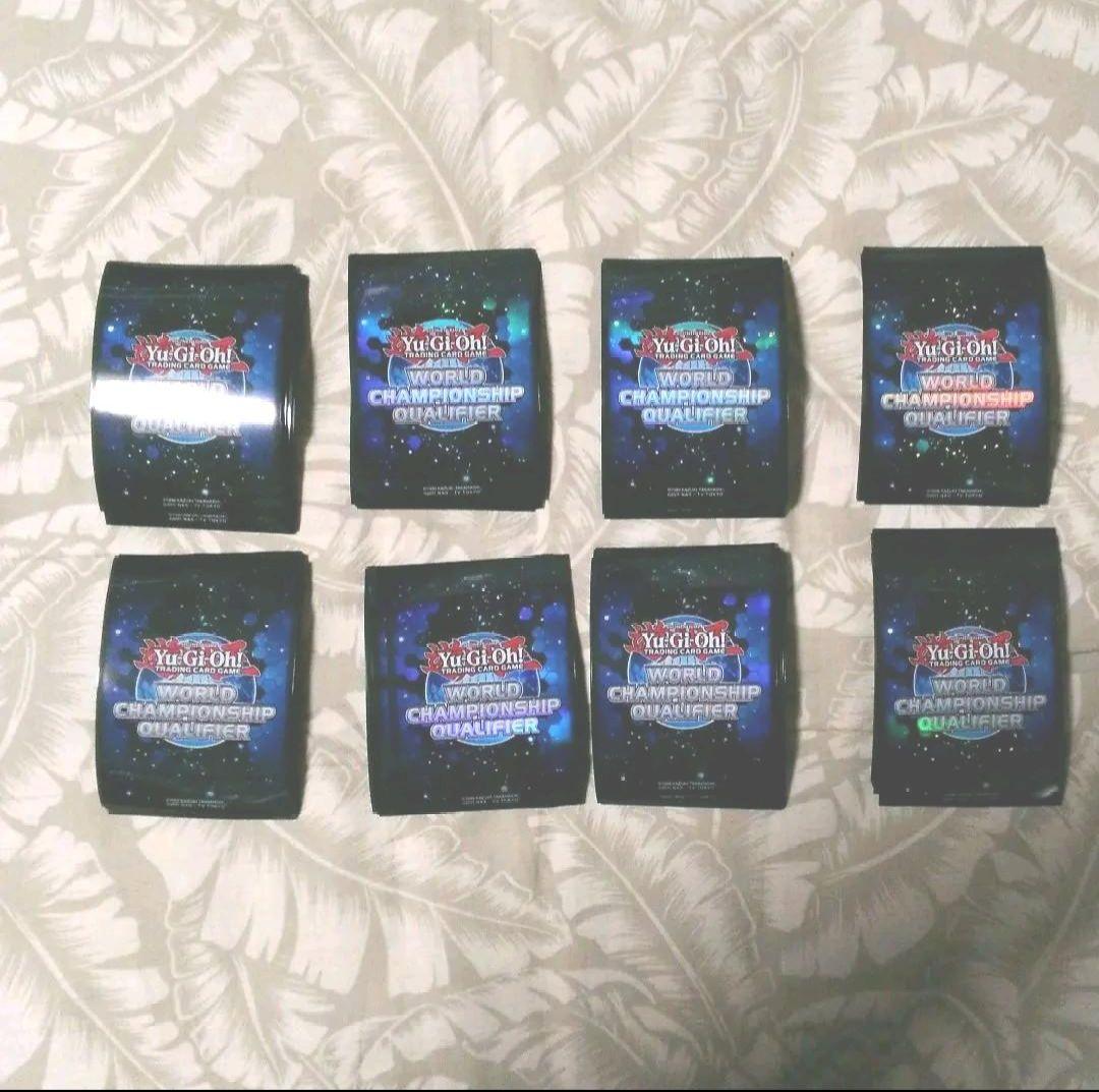 WCQ　スリーブ 2012