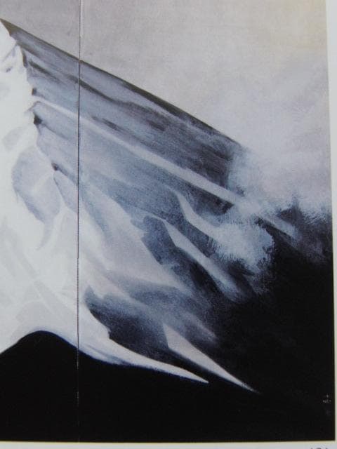 中島千波、【不二】、希少な額装用画集より、新品額装付