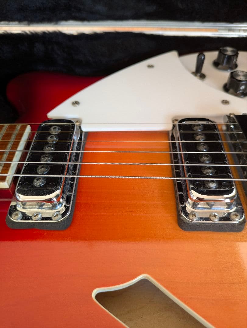 Rickenbacker 360 2013年製 リッケンバッカー