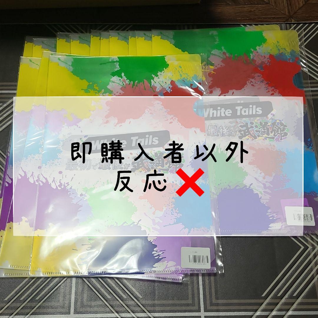 【バラ売り️⭕️】ワイテルズ ガチャ クリアファイル 13点セット