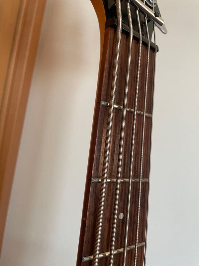 Ariapro2 エレキ5弦ベース