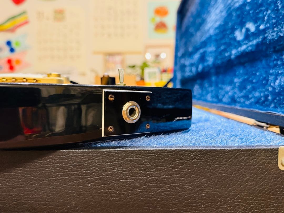 【中古品 メンテ弦交換済】 フェルナンデス MG-120X hide Burny