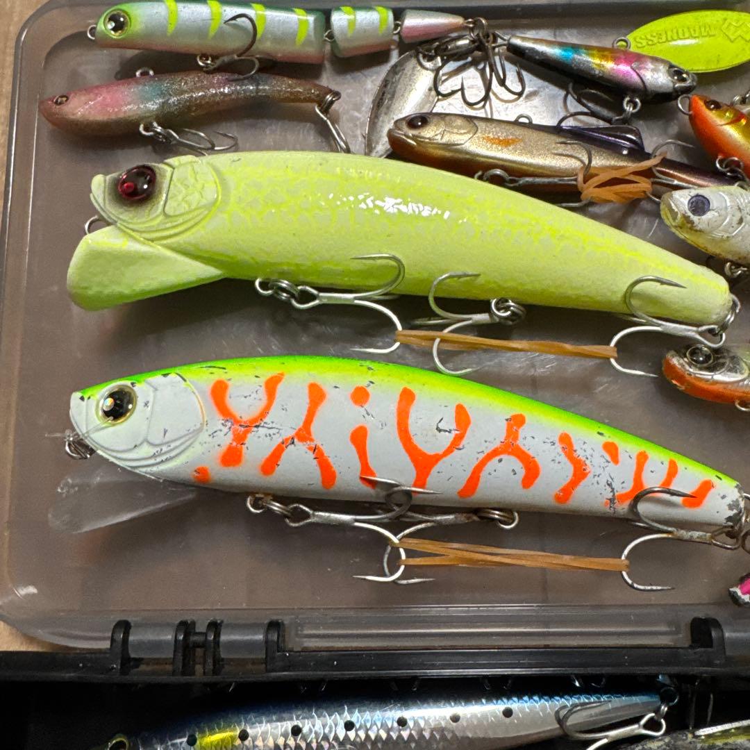 シーバスルアーセット売り