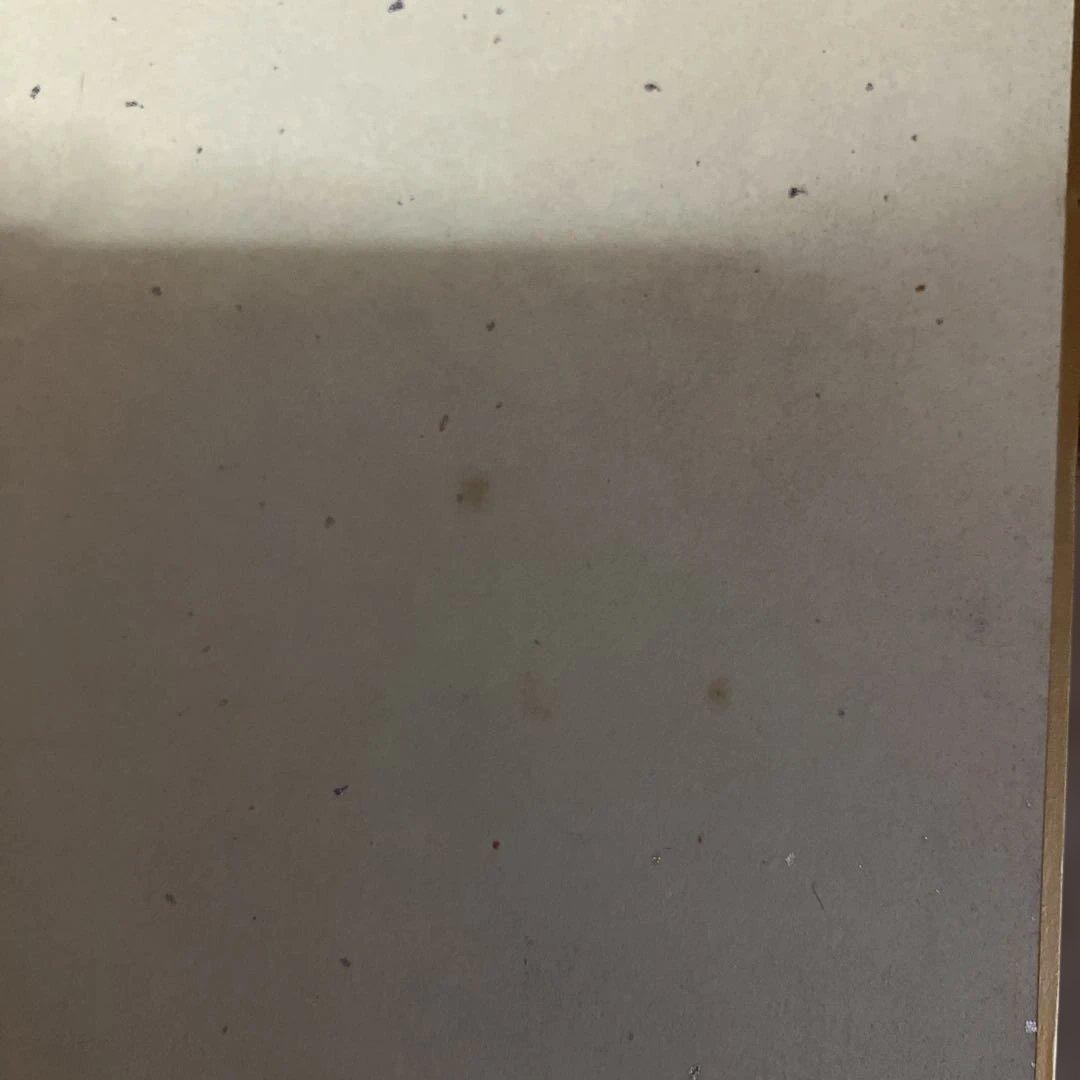 天野喜孝 直筆 サイン色紙 写真付き サイン