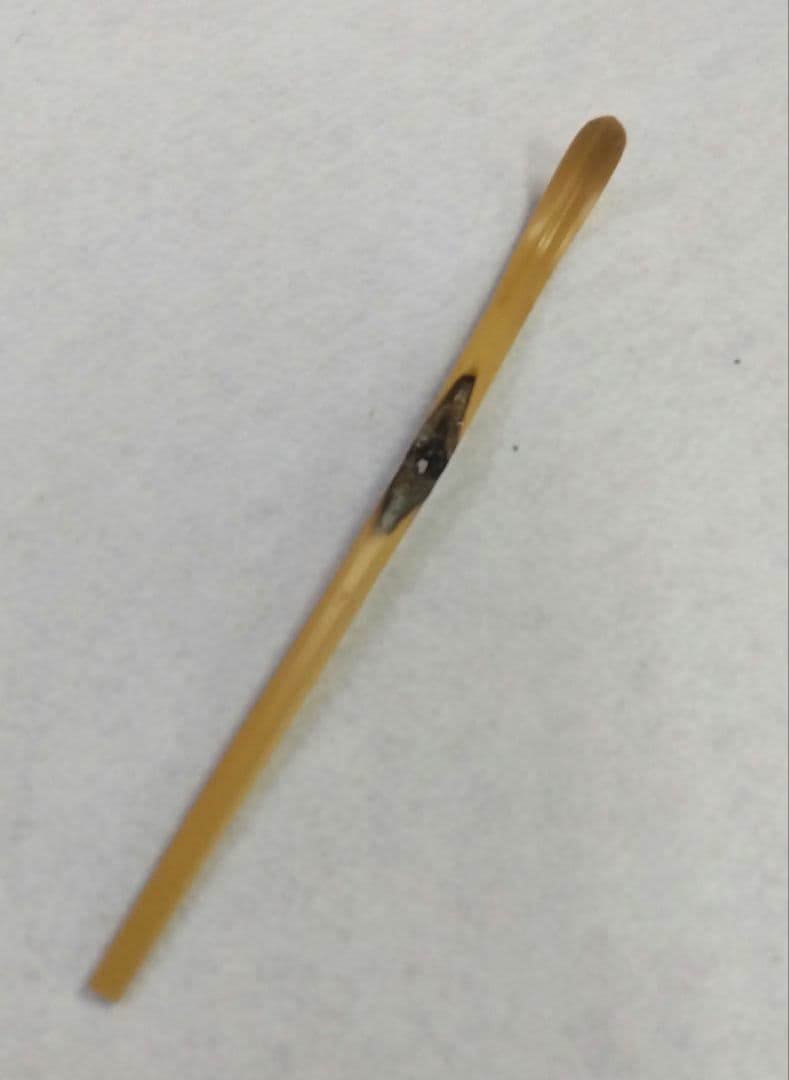 茶道具 茶杓 シュミ竹 染竹 虫喰 法谷文雅 銘 雪間の草 竹憲 京銘竹