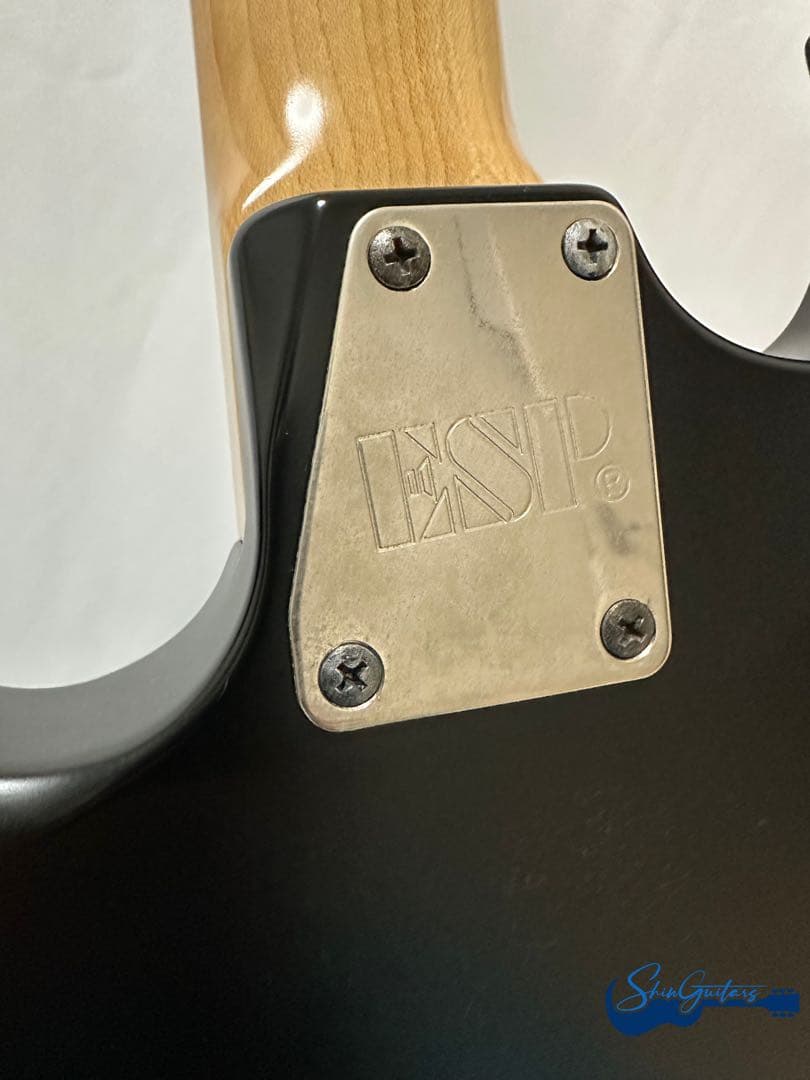 ギター ESP Viper VP-L