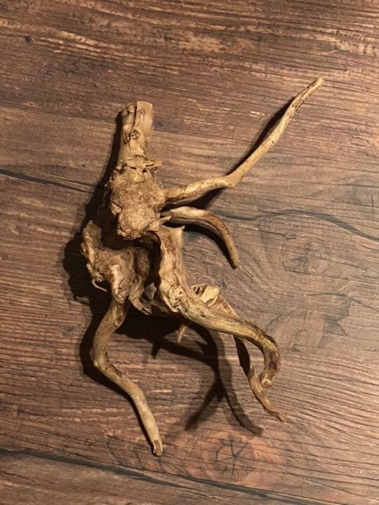 天然物 EVA系 人型 使徒 木製 デザイン インテリア