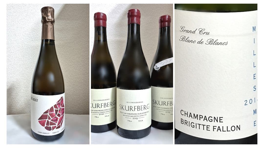 TA100点　2019年含む　サディ／スカーフバーグ　3本セット