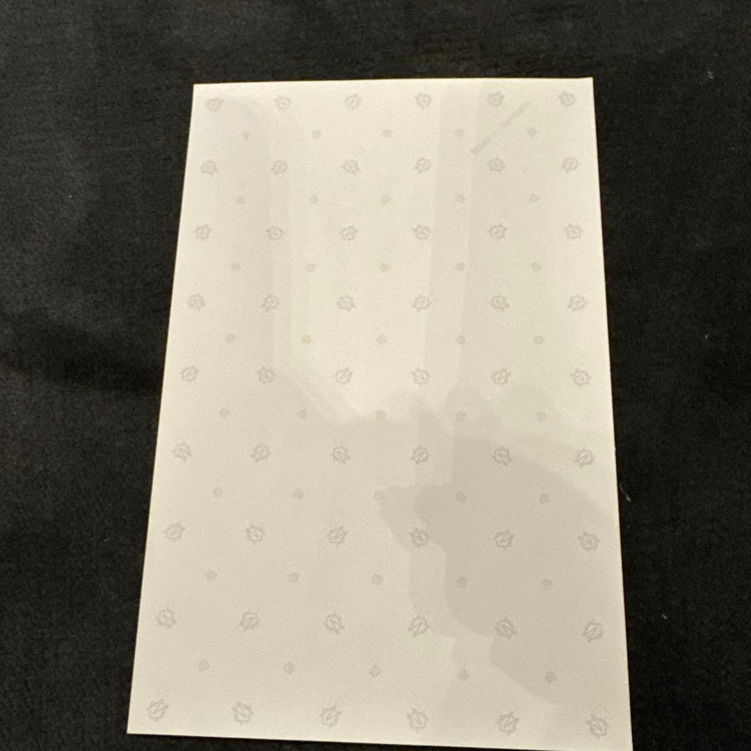 RIMOWA Cabinスーツケース用　ハーネス　ブラック　1度使用