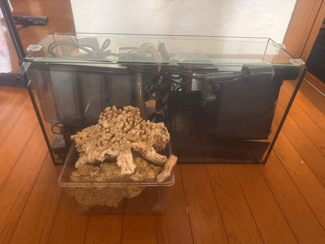 水槽 海水飼育セット　600×200×300 ライブロック付き