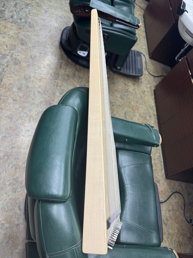 即演奏可能　ヘルマンハープ　ローレライダイヤモンド　Lタイプ　フルセット