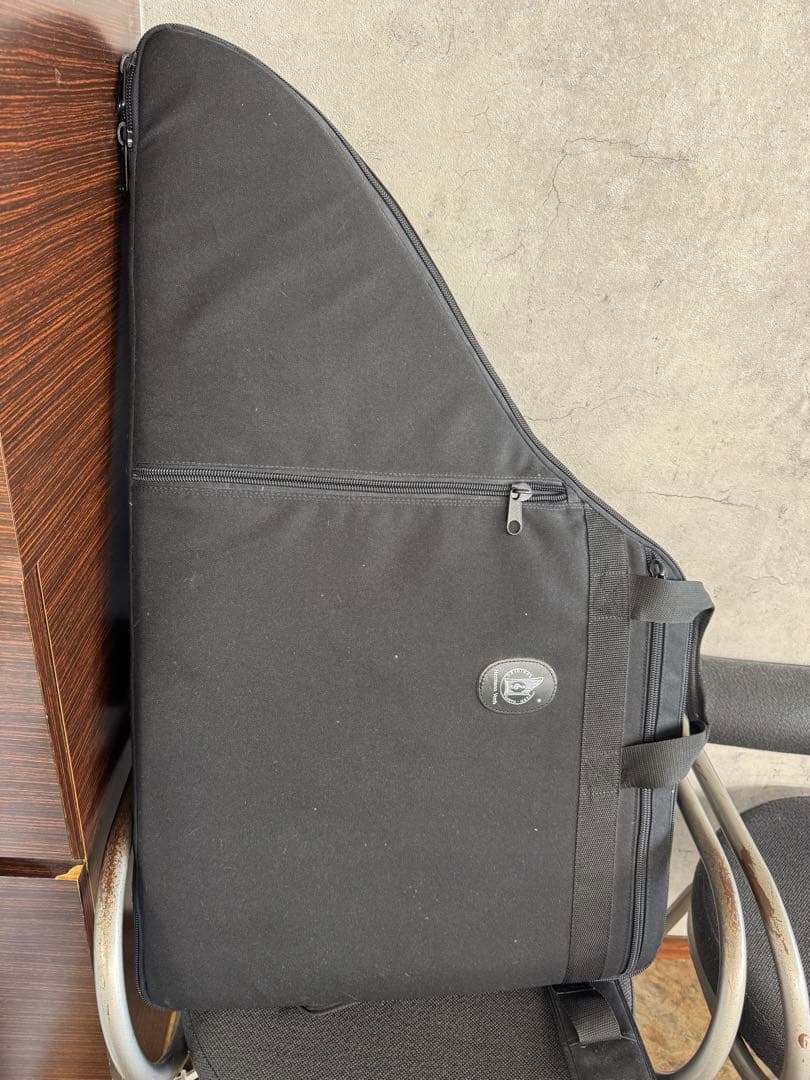 即演奏可能　ヘルマンハープ　ローレライダイヤモンド　Lタイプ　フルセット