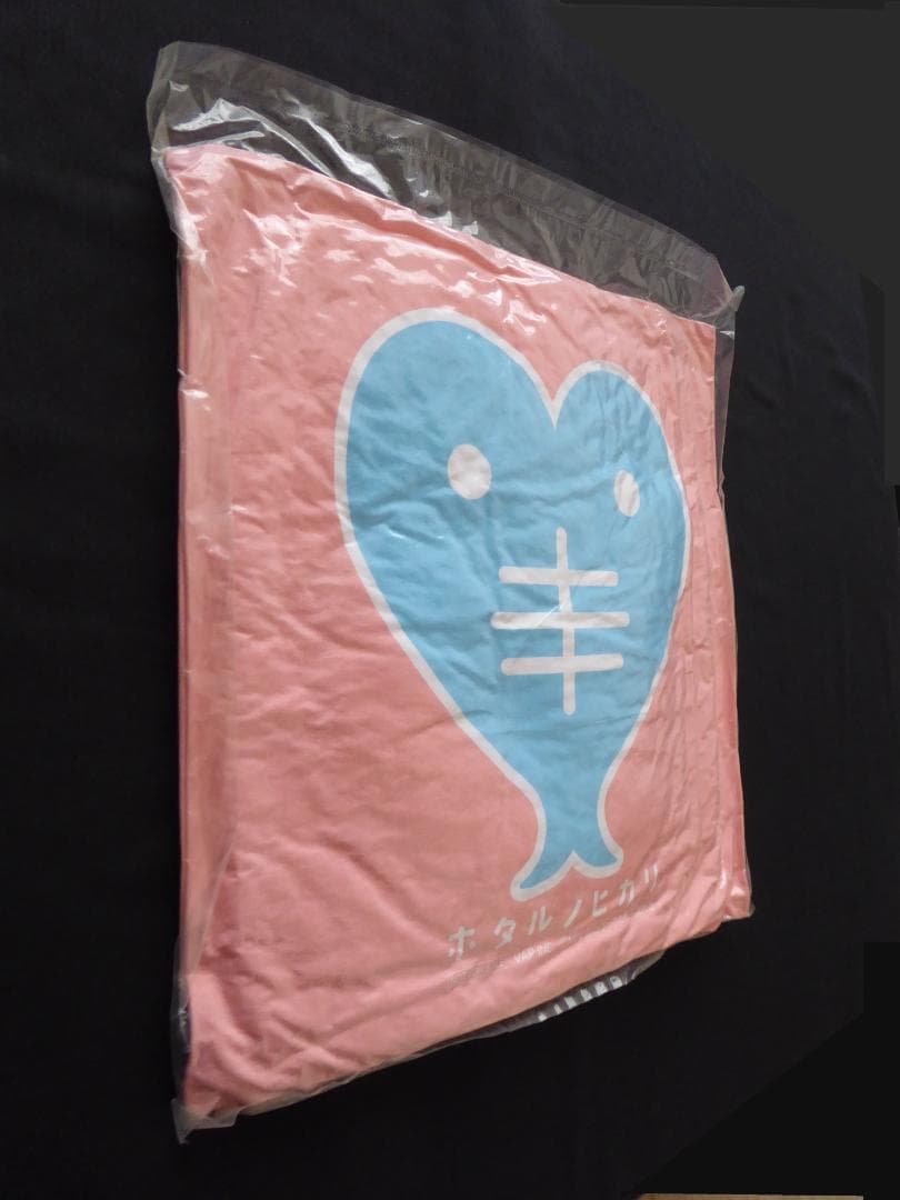 レア非売品!ドラマ/ホタルノヒカリ『オリジナルひものクッション』綾瀬はるか/新品