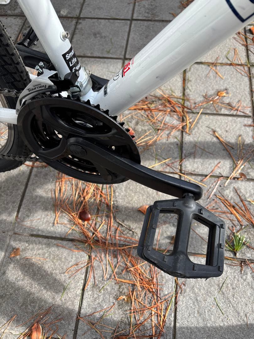 ラ*ー様 【送料込み】マウンテンバイク ルイガノ グラインド8.0 21段変速