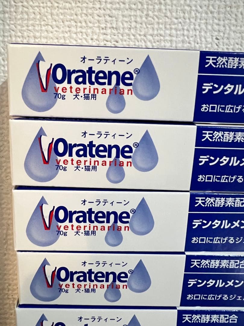 Oratene デンタルメンテナンス 70g 6本セット