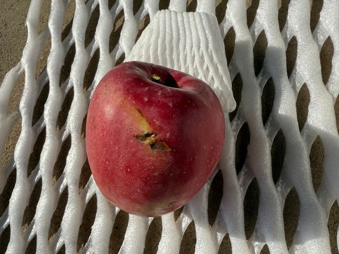 【すみちゃん】長野県産サンふじ　5kg×3箱