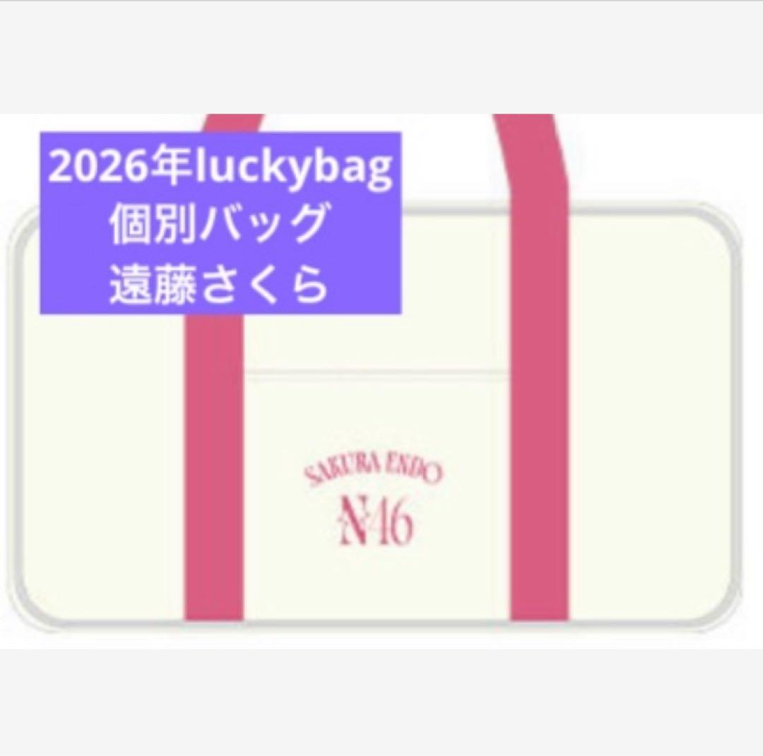 乃木坂46　限定 個別バッグ　遠藤さくら　バック　2026 luckybag