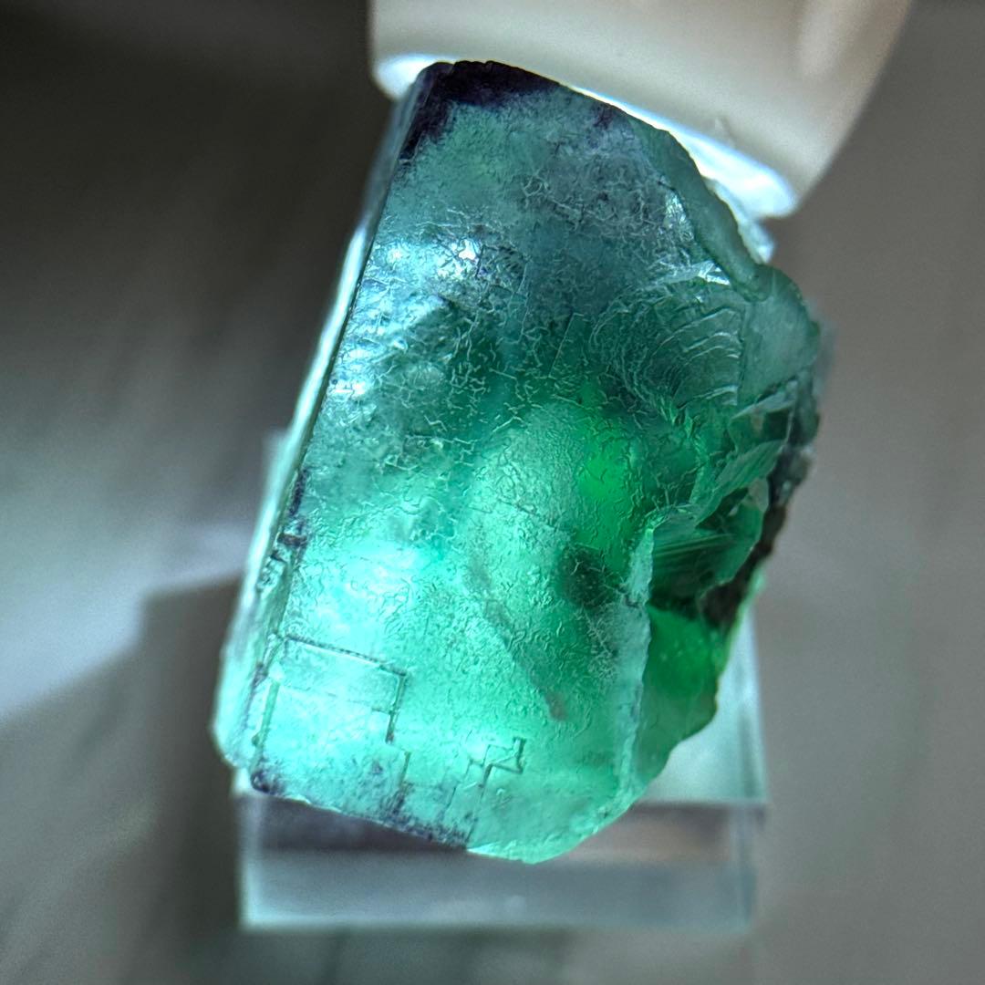 【D288】大きな結晶とゾーニング・.。*・ グリーンフローライト ナミビア