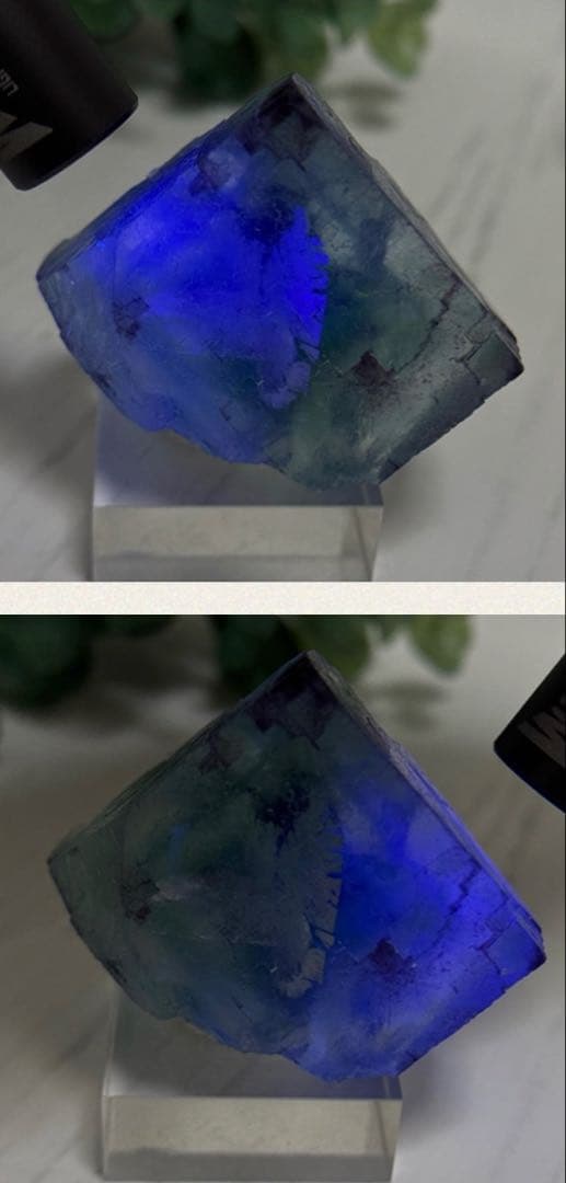 【D288】大きな結晶とゾーニング・.。*・ グリーンフローライト ナミビア