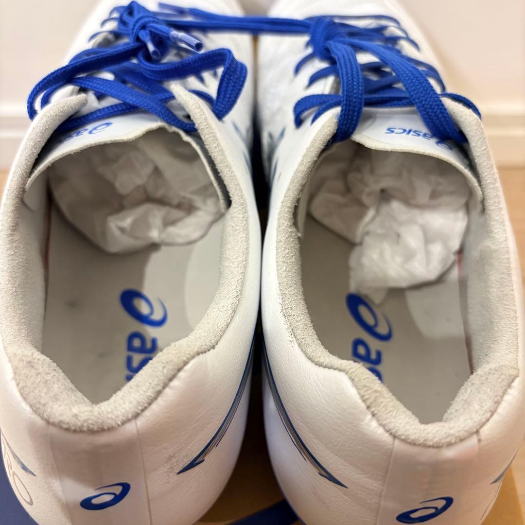 アシックス DS-LIGHT X-FLY PRO3 （25.0㎝）