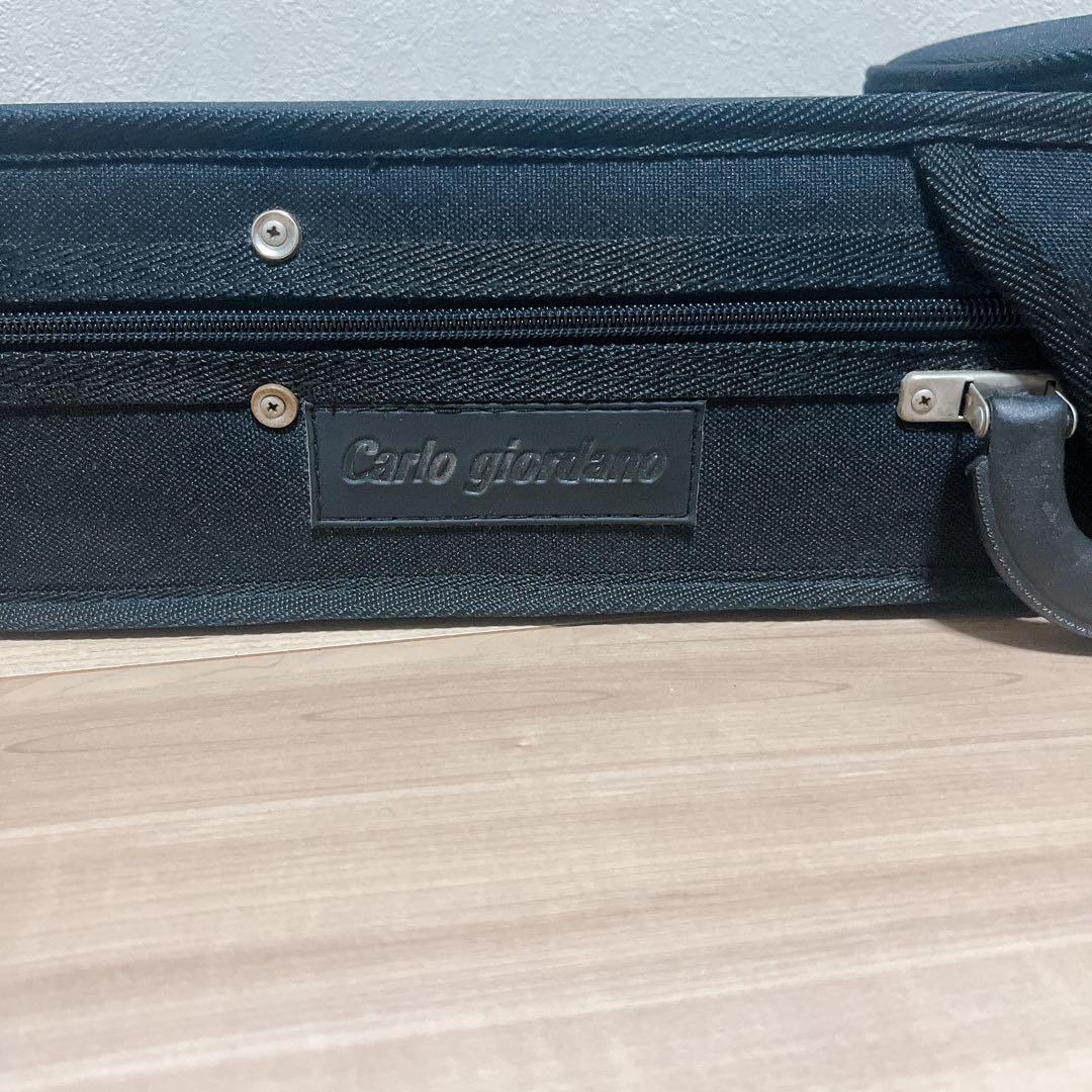 ニ*ム様 ハルシュタット　エレキ バイオリン　CV210E　サイレント　ケース付