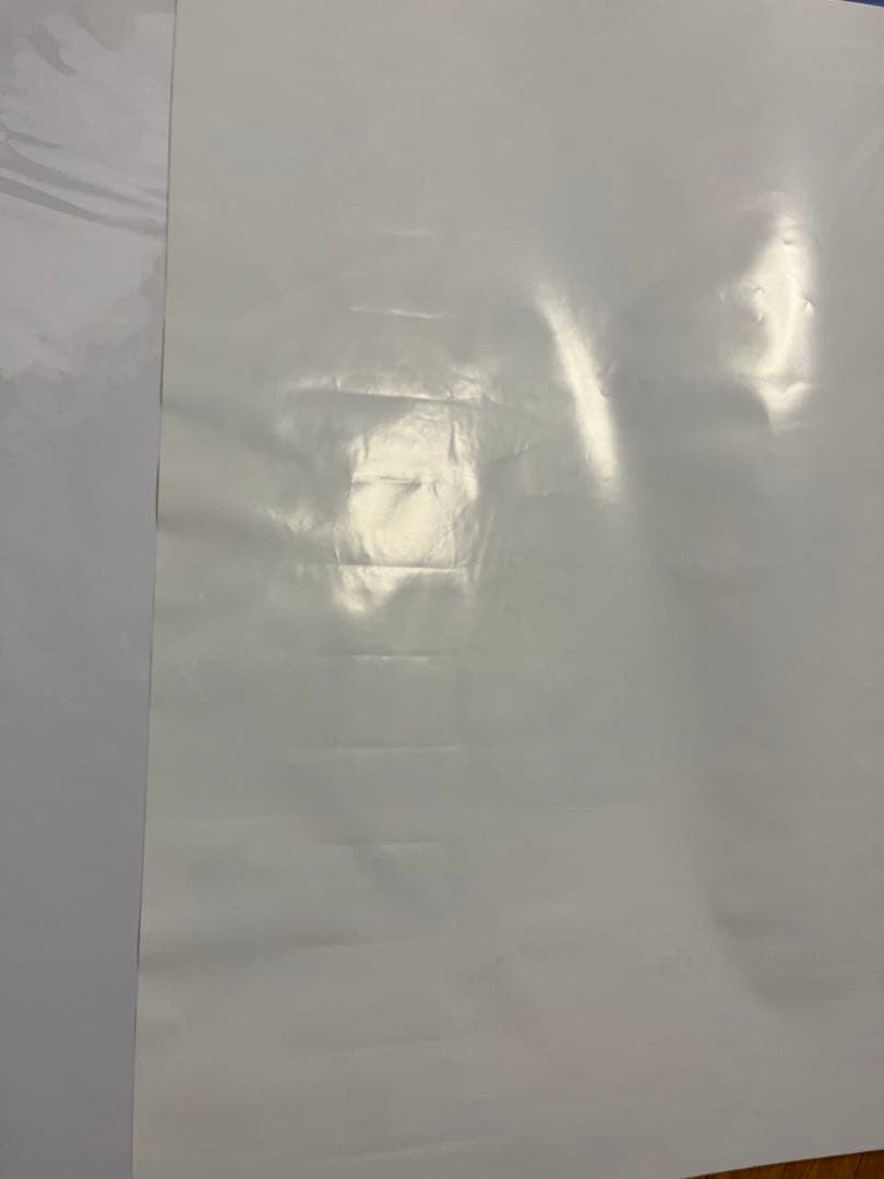 アイドルマスター シンデレラガールズ 久川凪 久川颯 B2ポスター デレステ