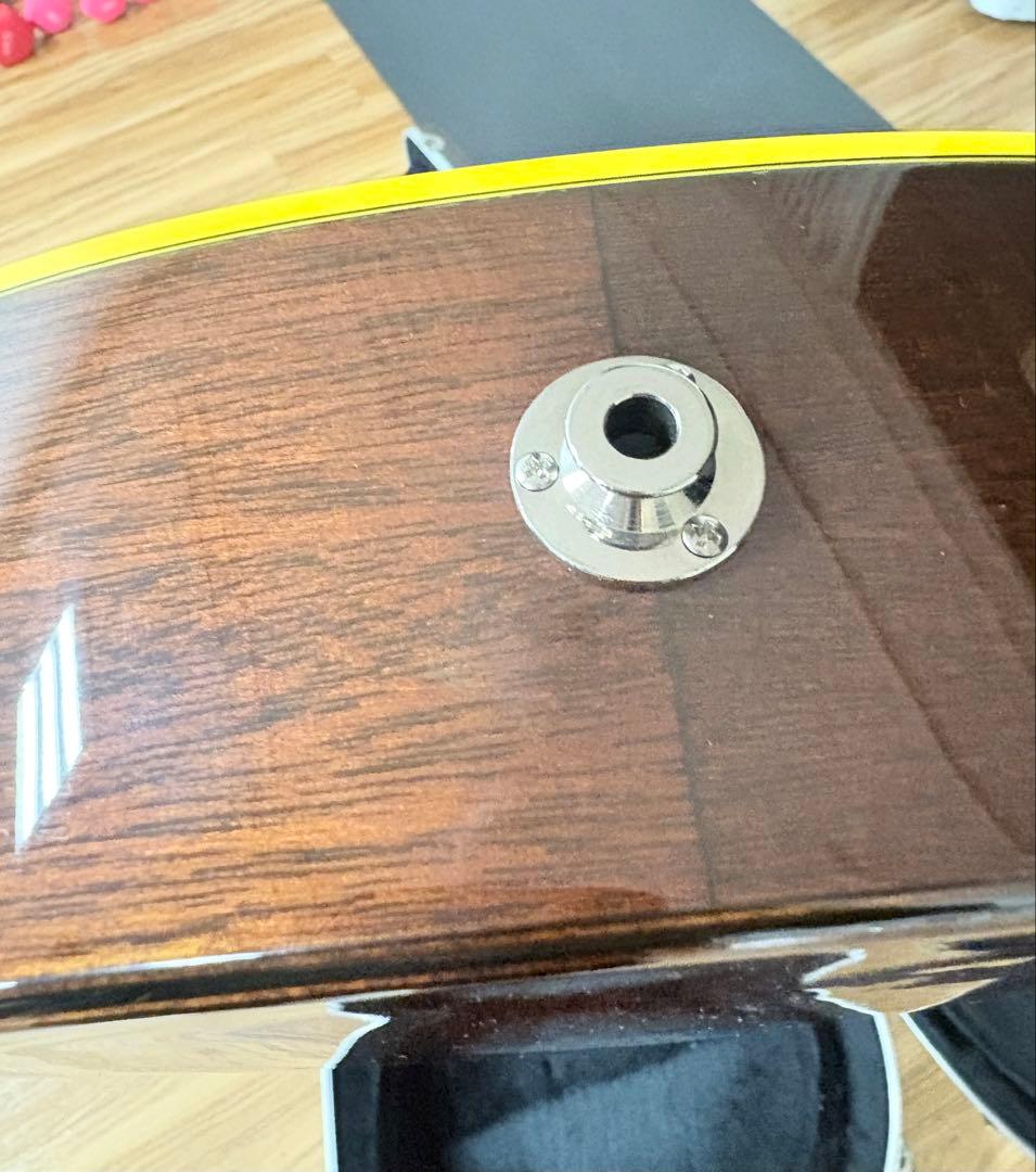 Takamine エレガットギター カッタウェイ希少ケース付き