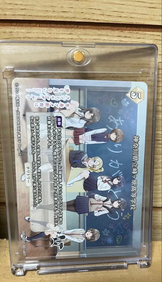 桜島麻衣BT サイン入り