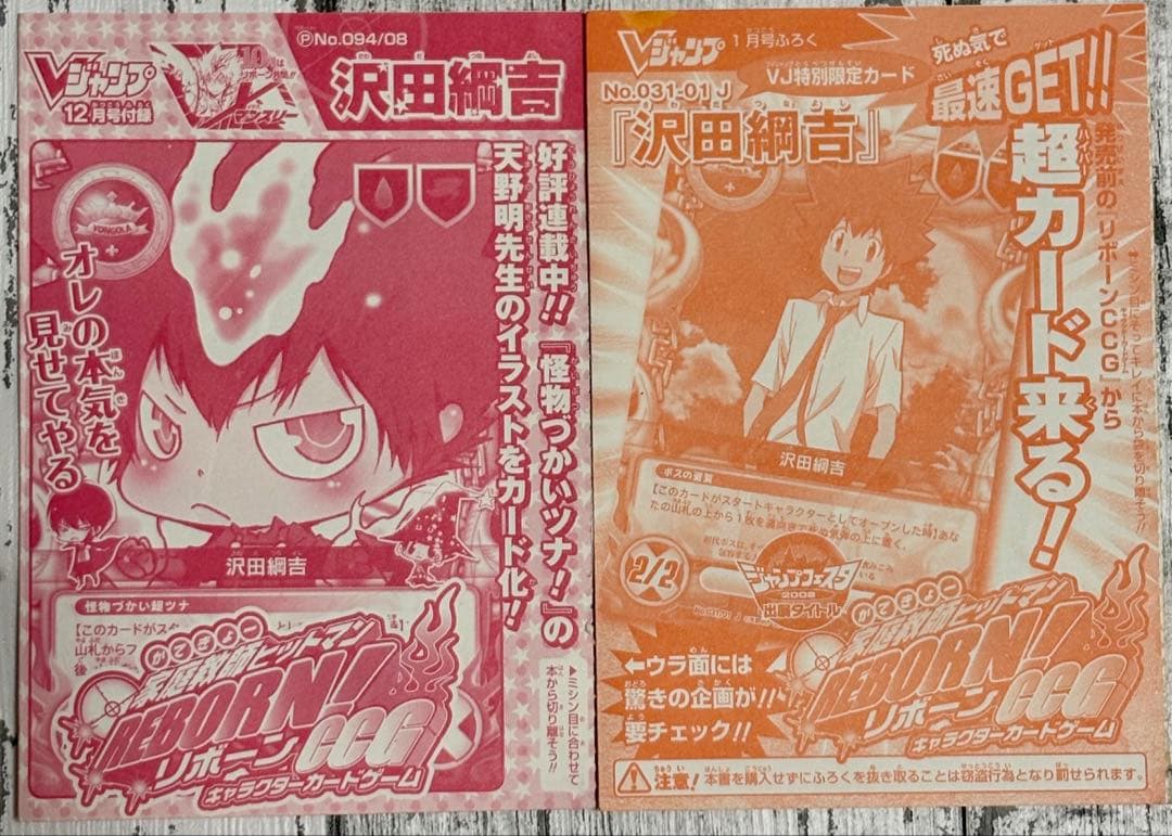 沢田綱吉 REBORN　リボーン　CCG　サザンクロスバトル　カード　まとめ売り