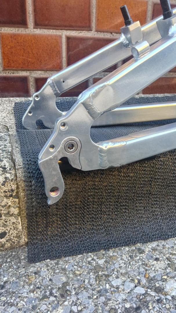 ルイガノ　JEDI 　フレーム