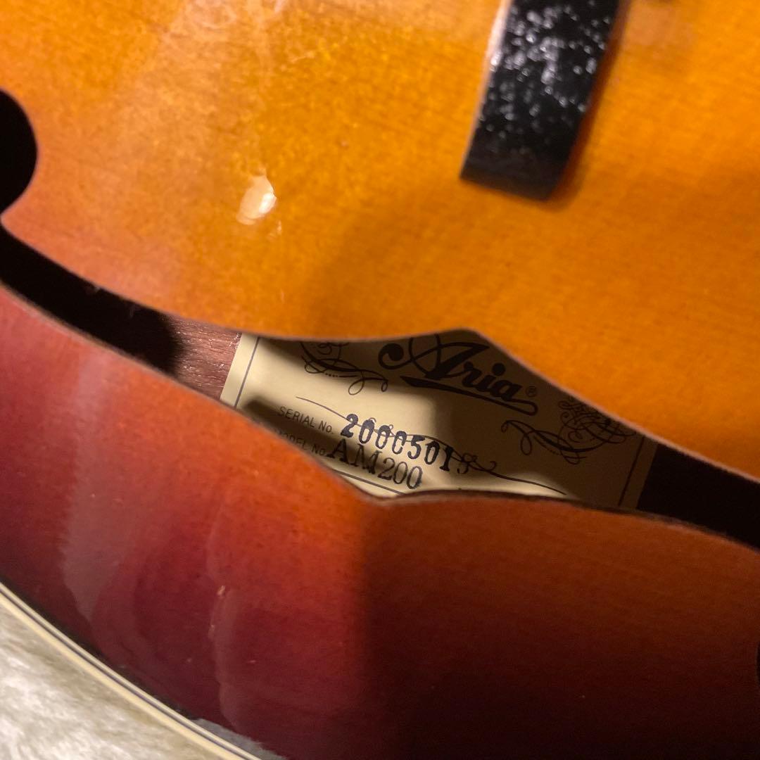 極美品！Aria アリア AM200 フラット マンドリン ハードケース付き