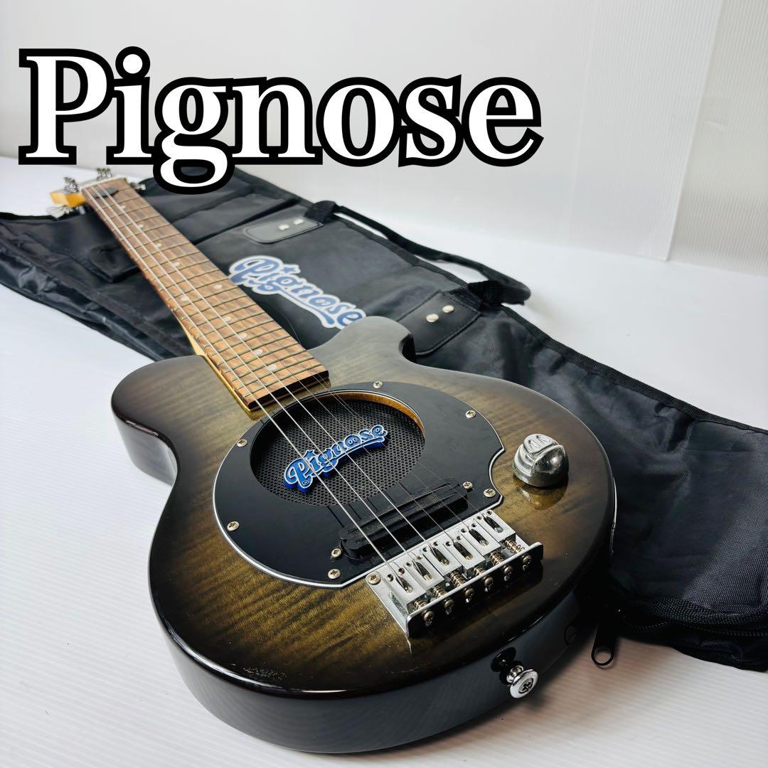 Pignose ピグノーズ PGG-200FM エレキギター 専用ケース付 入門