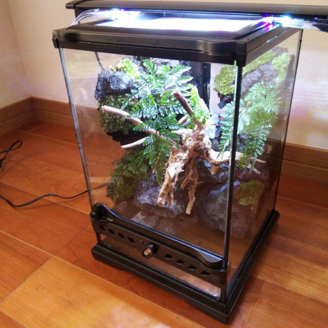 【受注生産】滝の流れるアクアテラリウム　テラリウム　苔　イモリウム