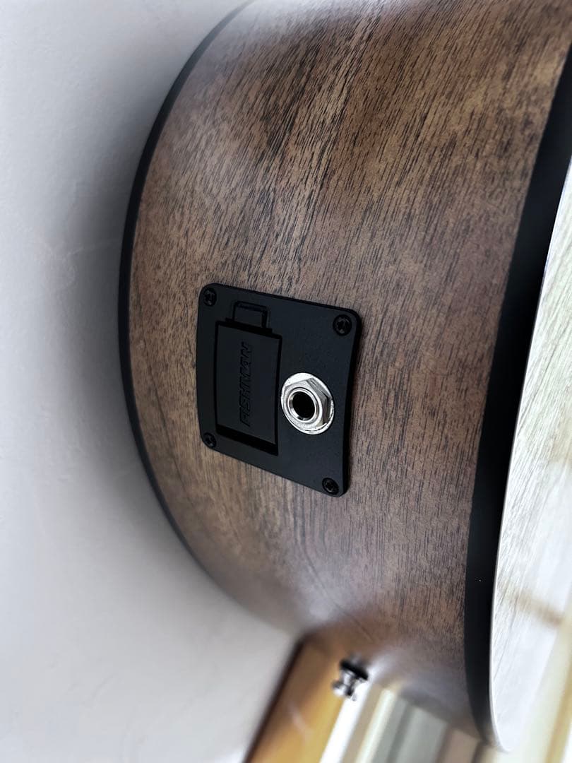 S6 Seagull アコースティックギター ブラック