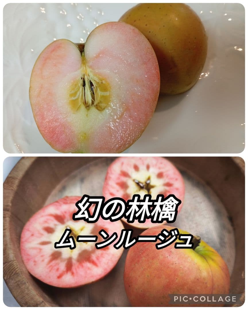 みつばち　りんご詰め合わせ