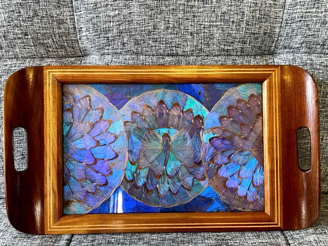 モルフォ蝶トレイ