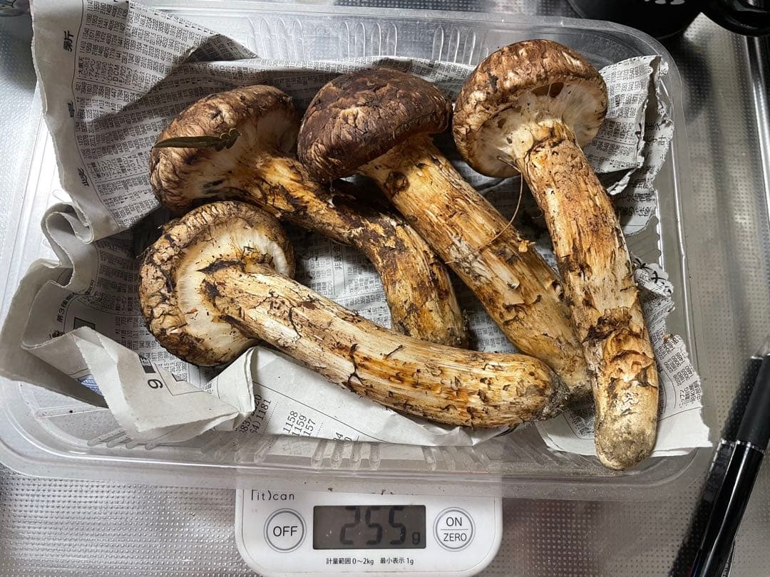 岩手マツタケ 255g