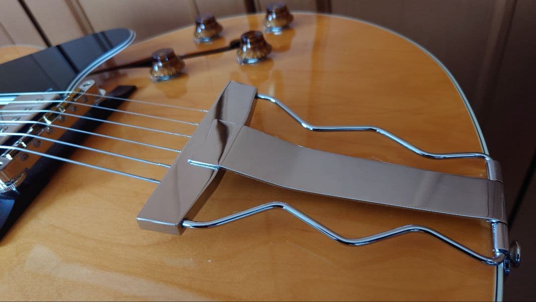 TOKAI FA-245 トーカイ フルアコ 21年製