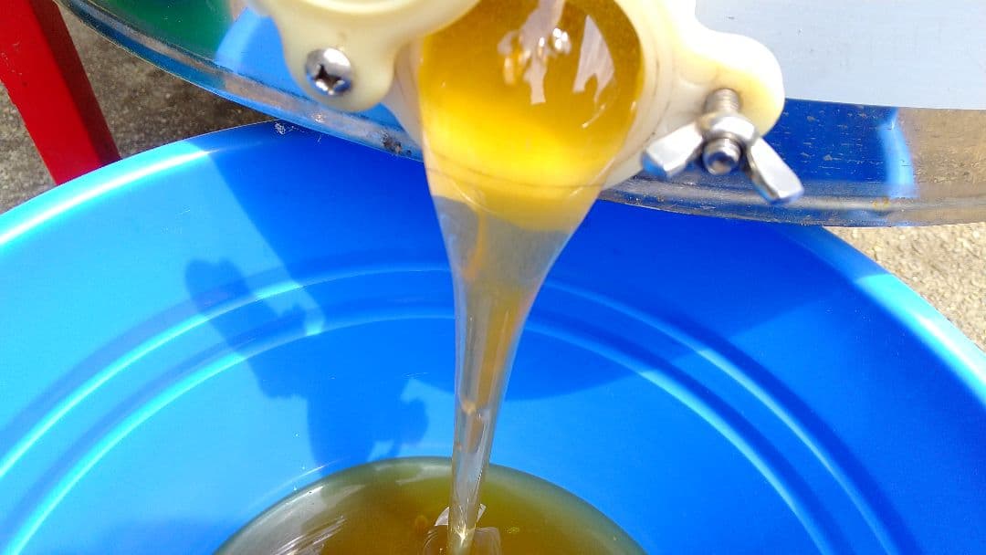 【養蜂家直送】 はちみつ 3kg 国産 天然 純粋 生蜂蜜 7月新蜜 夏の百花蜜